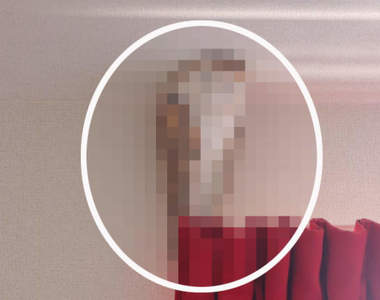 《貓頭鷹遇上吸塵器》為了躲避討厭的吸塵器聲音，竟然變成這種形狀！？