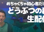 《高橋茂雄實況動物森友會》過時的實況方式意外大受歡迎 技術不專業反而倍感親切? 《高橋茂雄實況動物森友會》過時的實況方式意外大受歡迎 技術不專業反而倍感親切?