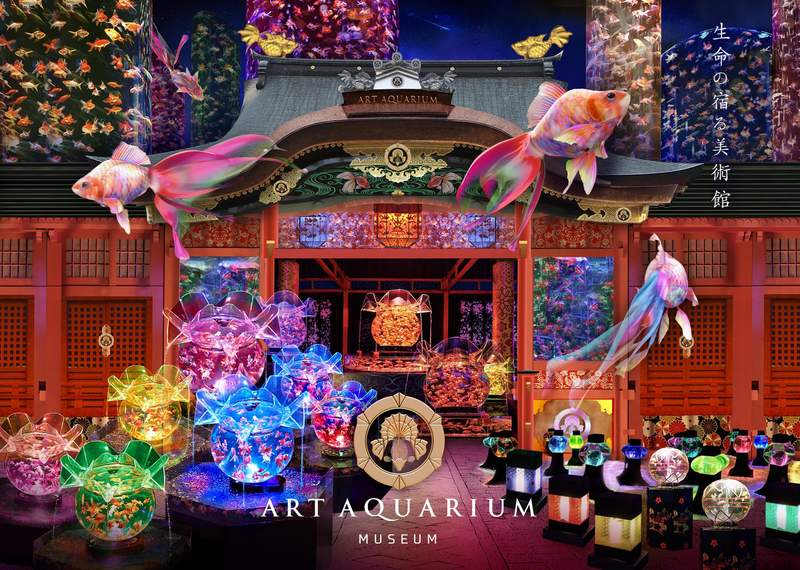 藝術水族館art Aquarium 金魚當免洗道具疾病纏身夢幻照片拍出惡劣環境炎上