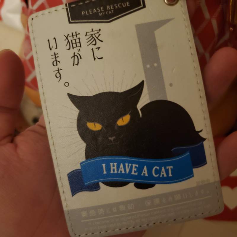 圖片6 獨居飼主必見《家有毛孩手機桌布》若遭遇意外擔心寵物無人照顧的求救用桌布 | 宅宅新聞