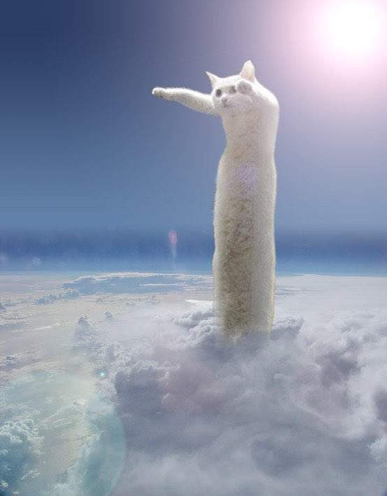 圖片2 圖片2
