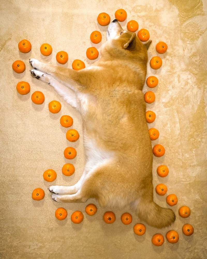 圖片2 圖片2