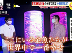 《藝術水族館ART AQUARIUM》住在這裡的金魚最幸福?策展製作人上電視澄清再炎上  《藝術水族館ART AQUARIUM》住在這裡的金魚最幸福?策展製作人上電視澄清再炎上