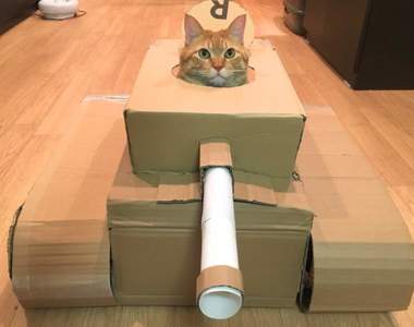 《貓用戰車》防疫在家太無聊，貓奴間流行起用紙箱自製主子專用戰車...