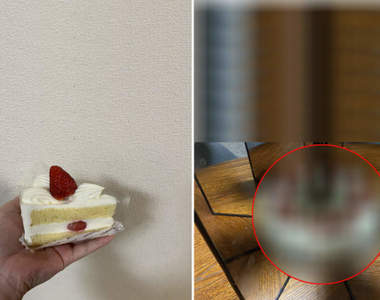 防疫期間網友們的《自宅待機行為》用一塊鏡子就可以還原整塊蛋糕~小小創意大滿足XD