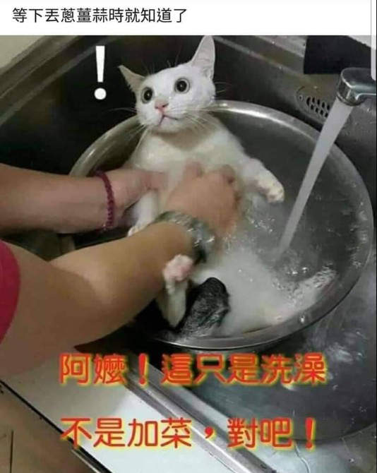 圖片22 秀出你手機裡的《超爆笑梗圖》不怕容量不夠存,只怕要用的時候沒人家好笑ww | 宅宅新聞