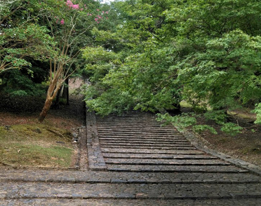 東大寺《貓坂》傳說摔下階梯就會變成貓,現場一看才發現想變貓果然沒那麼容易...