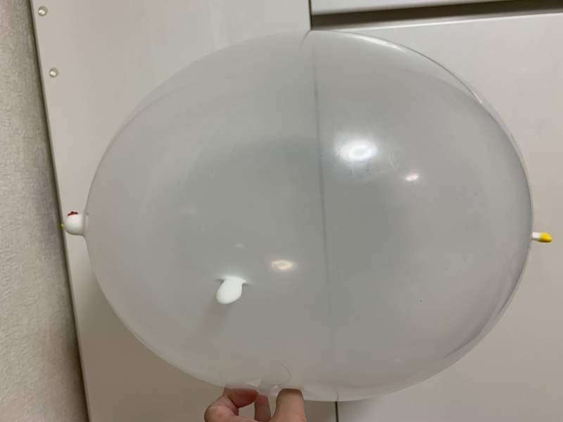 圖片15 《大創的動物氣球》吹起氣來圓鼓鼓的可愛外型,唯獨雞造型有著無法消滅的乳頭感...ww | 宅宅新聞