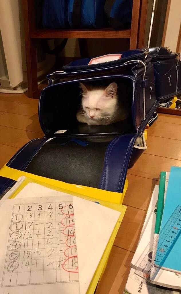 圖片2 圖片2