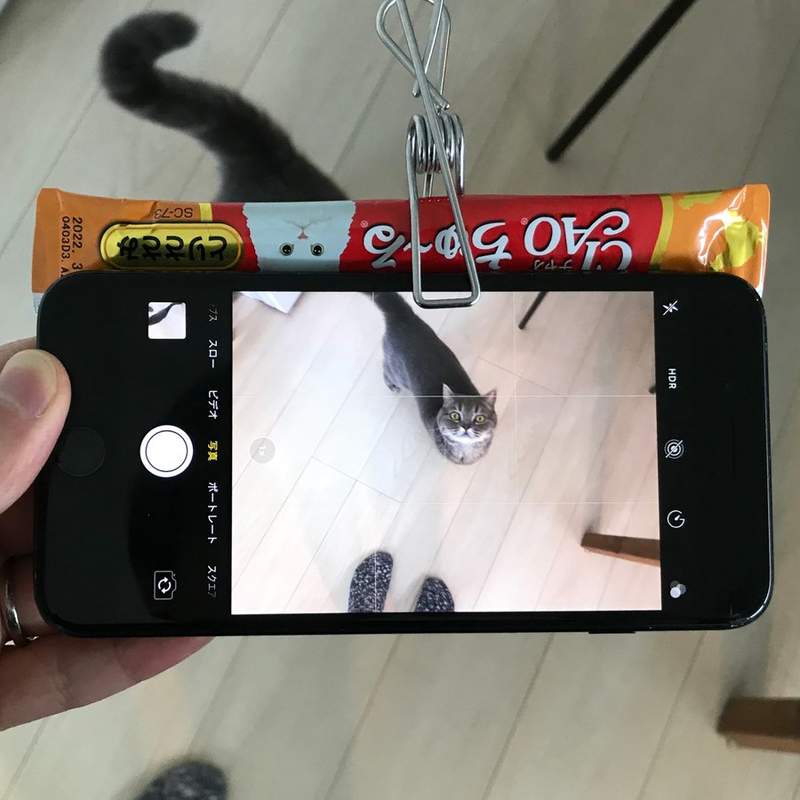 圖片2 圖片2