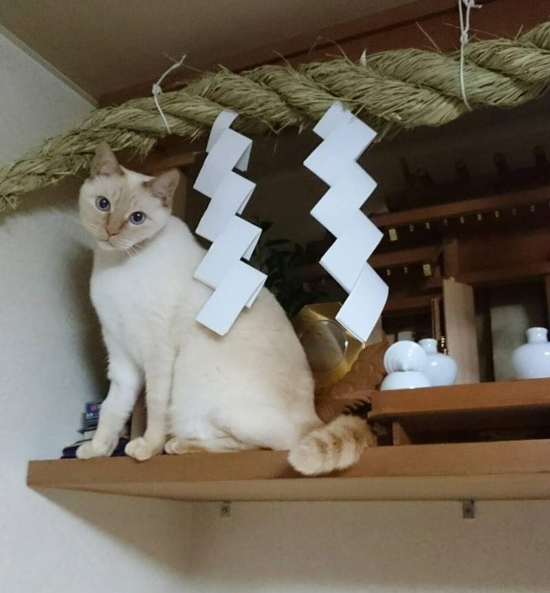 圖片3 圖片3