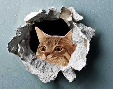 網友妙招《藝術化牆壁破洞的方法》能裝飾又能起到提醒的作用，真是棒(拇指)