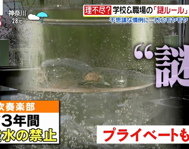 《團體中的奇葩規矩》從學校到職場都有詭異的傳統 你又碰過多少謎樣的規矩呢?