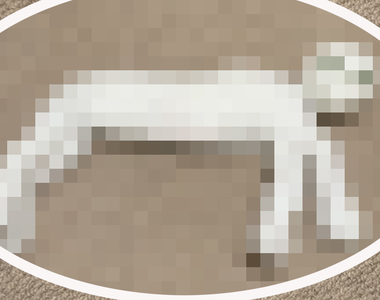 《中途放棄的羊毛氈貓咪》應該要是貓的物體，結果成了帶給人類恐懼的不明生物ww