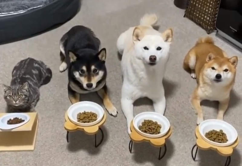 圖片1 圖片1