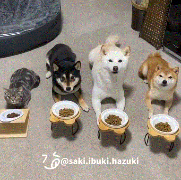 圖片2 圖片2