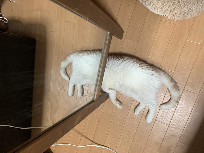圖片2 圖片2