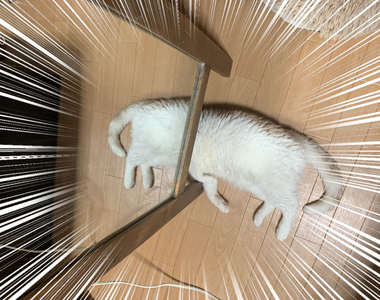 鏡子前驚見《無頭五腳貓》前後長一樣的不明生命體,模型化起來怎麼有點可愛❤