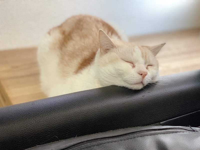 圖片3 圖片3