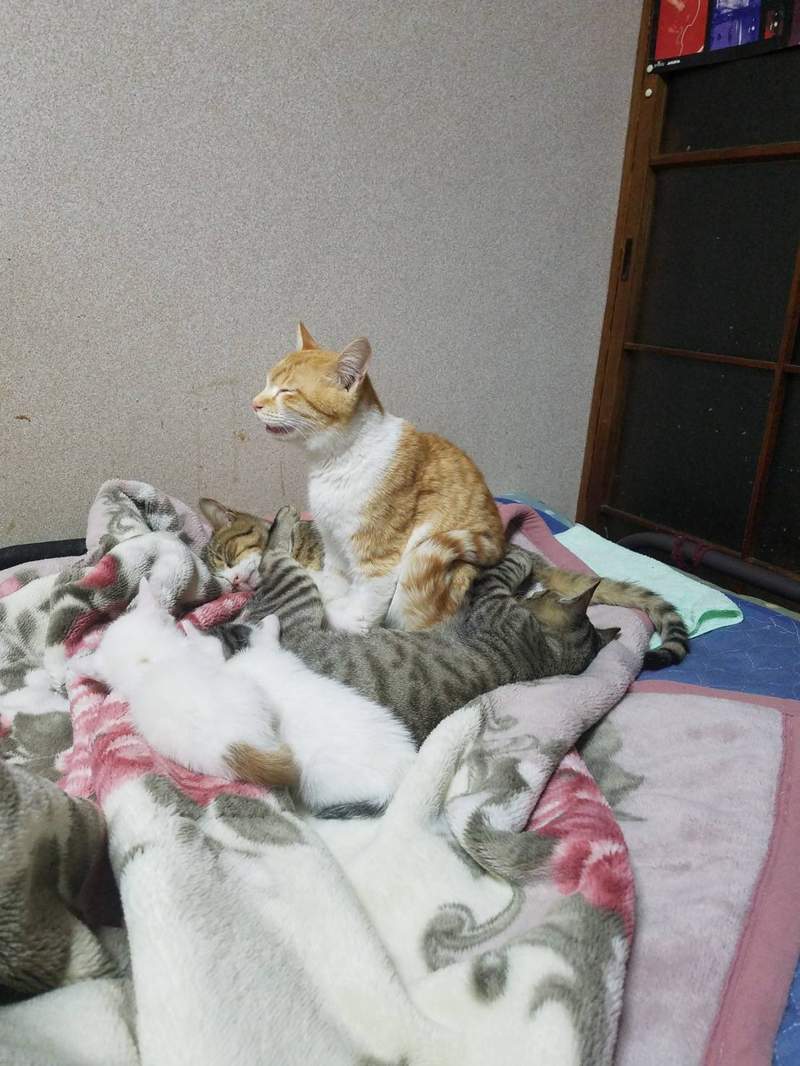 圖片2 圖片2