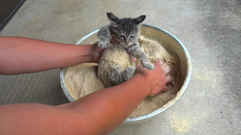 圖片2 圖片2