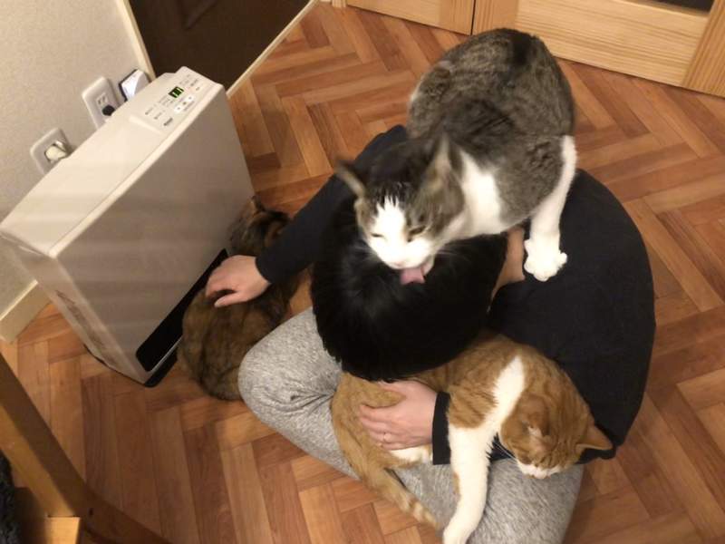 圖片2 圖片2