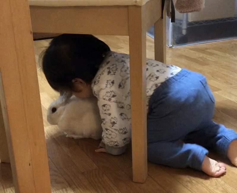 圖片3 圖片3