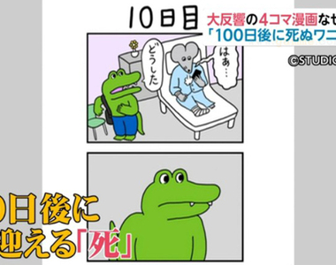 《100天後會死的鱷魚》推特爆紅四格漫畫 網友好奇最後一天會發生什麼事情……