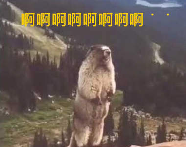 《猛一看就被迷因笑力影響》腦波弱的朋友們這篇要注意，你能忍住讓思緒沒有任何起伏嗎XD