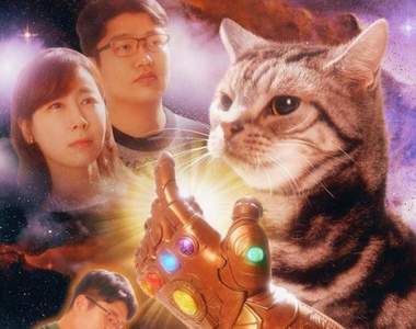 韓國照相館推出《搞笑寵物全家福照》貓貓彈指最想消滅的是...主人(誤)