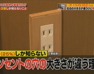 《電源插座有正負極》日本冷知識節目顛覆常識 網友取笑製作單位沒學過交流電