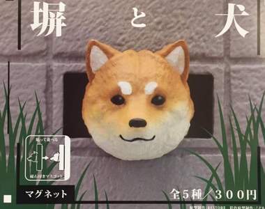 島原三柴扭蛋化《牆壁洞裡的柴犬》磁鐵轉蛋2月推出