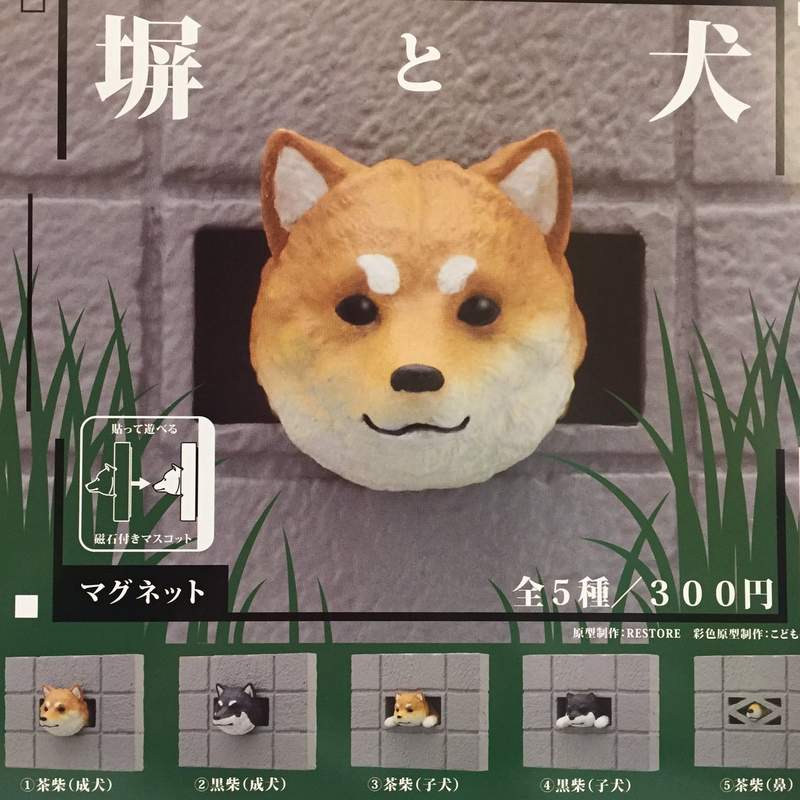 圖片1 圖片1
