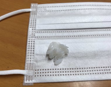 意味不明的口罩飾品《黏在口罩上的飯粒》為你平淡的口罩生活加入一些玩心ww