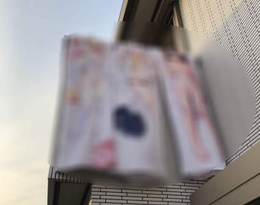 完全公開處刑《媽媽幫忙曬抱枕套的結果》如果推主突然消失應該就是被警察抓走惹...(欸)