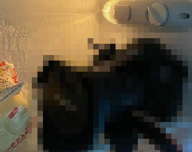 醉後蠢事又一樁《把冰箱當成防潮箱》隔天才驚覺自己昨天真的是喝多了