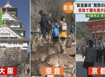 《武漢肺炎是出遊大好時機?》觀光團消失終於能夠輕鬆逛京都 日本大叔反其道而行引發熱議 《武漢肺炎是出遊大好時機?》觀光團消失終於能夠輕鬆逛京都 日本大叔反其道而行引發熱議