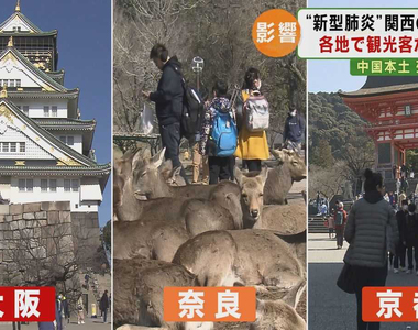 《武漢肺炎是出遊大好時機？》觀光團消失終於能夠輕鬆逛京都 日本大叔反其道而行引發熱議