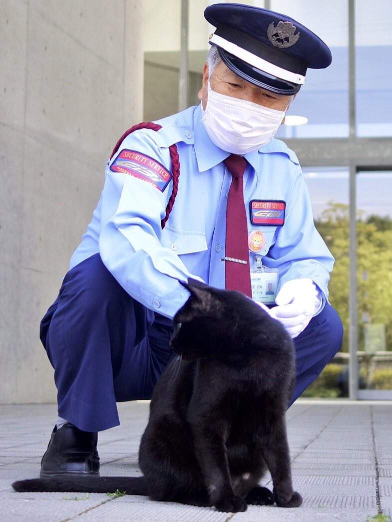 圖片8 《阻擋貓進美術館的警衛》原來貓每次的試圖侵入都是同一位警衛的值班期間!? | 宅宅新聞