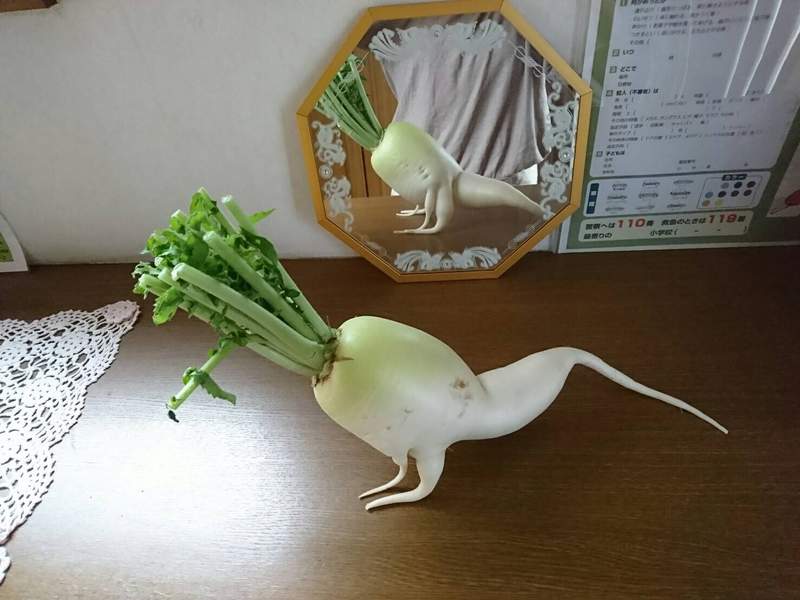 圖片2 圖片2