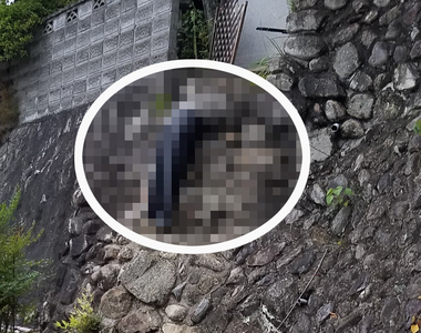 路邊驚見《一頭塞進排水管的大叔》遠看掛在半空中的下半身,夜裡路過絕對更恐怖...