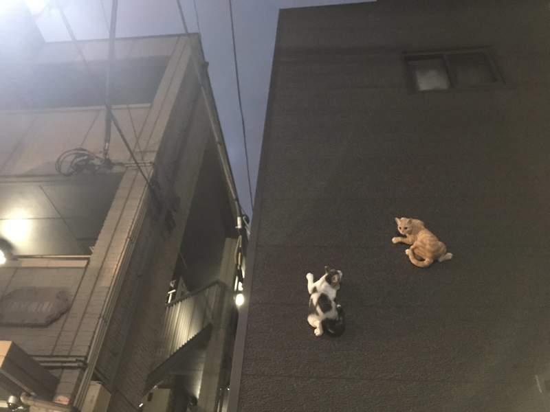 圖片2 圖片2
