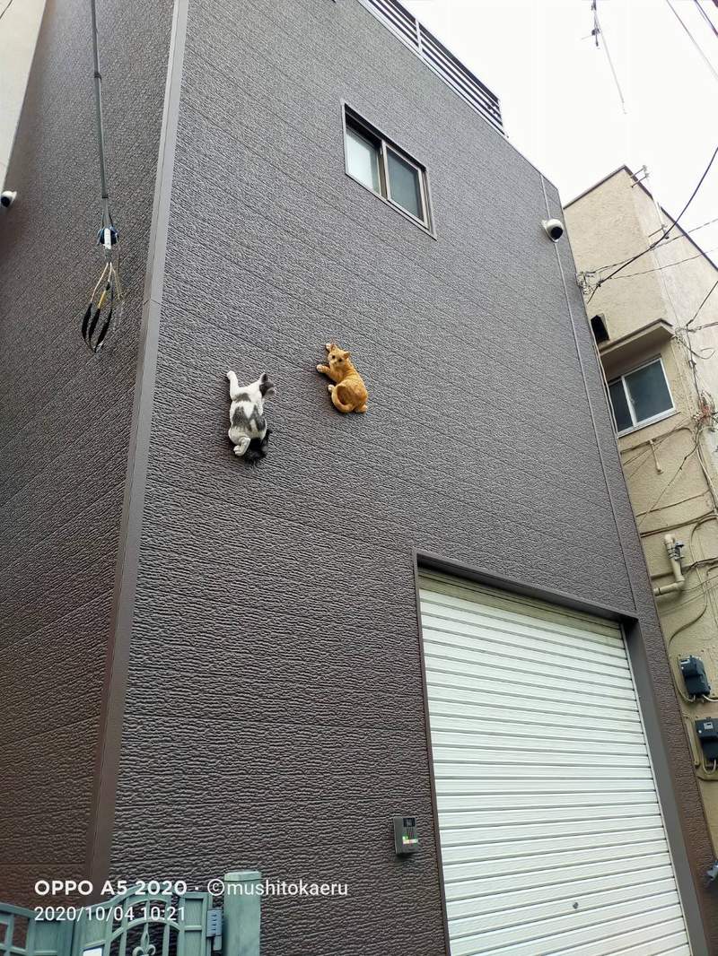圖片3 圖片3