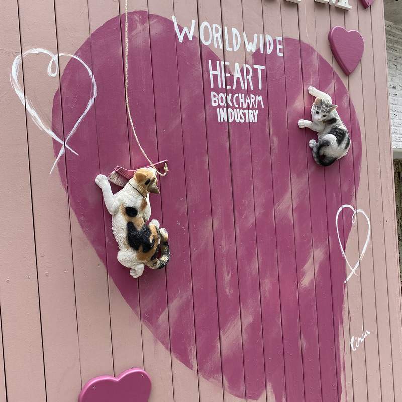 圖片6 無P圖《飛簷走壁忍者貓》住宅區裡驚見攀爬外牆的貓咪,驚險景象引發推特瘋傳... | 宅宅新聞