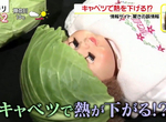 《醫生打臉網路謠言》發燒戴高麗菜?受傷塗芋頭泥?主婦網假知識讓專家直呼太扯了 《醫生打臉網路謠言》發燒戴高麗菜?受傷塗芋頭泥?主婦網假知識讓專家直呼太扯了