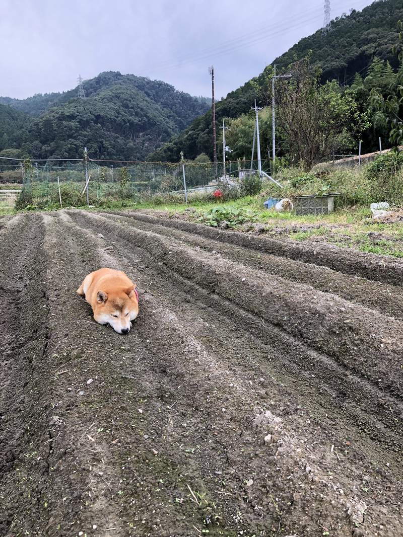 圖片2 圖片2