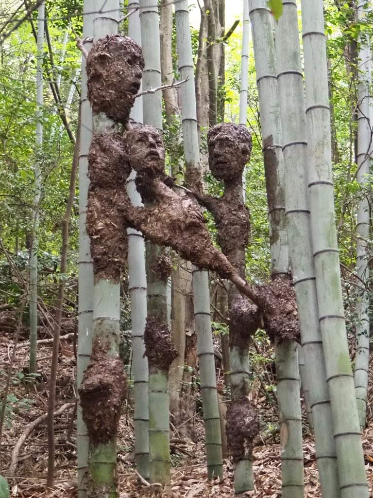 圖片2 圖片2