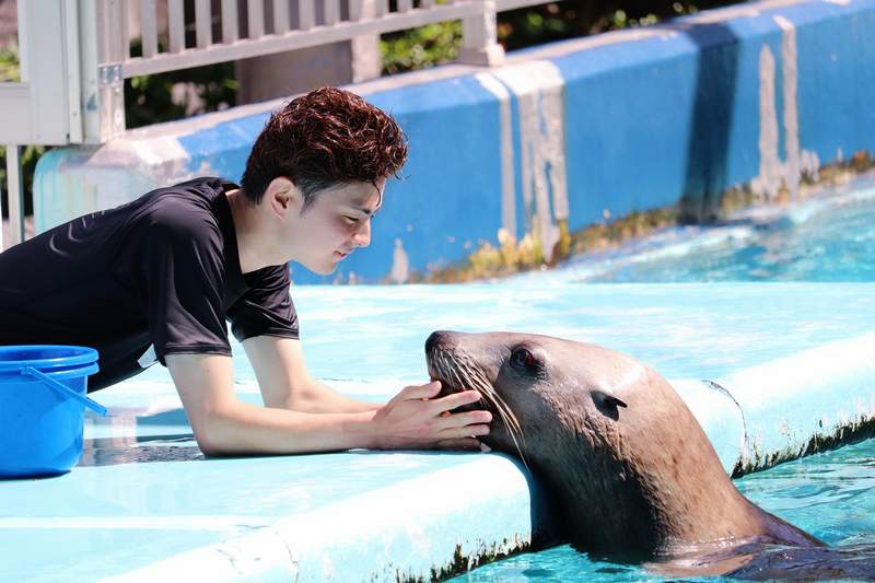 餵食型男飼育員 日本水族館推線上餵食秀 餵食選項不只動物竟然還有飼育員