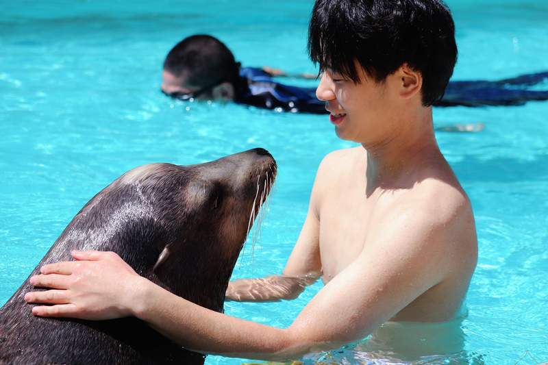 餵食型男飼育員 日本水族館推線上餵食秀 餵食選項不只動物竟然還有飼育員