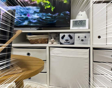 這才叫真的躲貓貓《貓的擬態》看這表情應該真心以為自己是面紙盒吧...ww